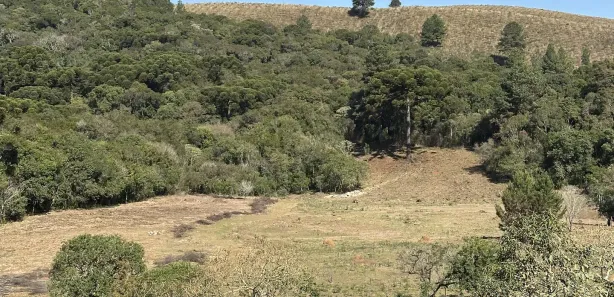 Fazenda / Sítio / Chácara com 5 Quartos à venda, 27500m² no Zona Rural, Campo Magro
