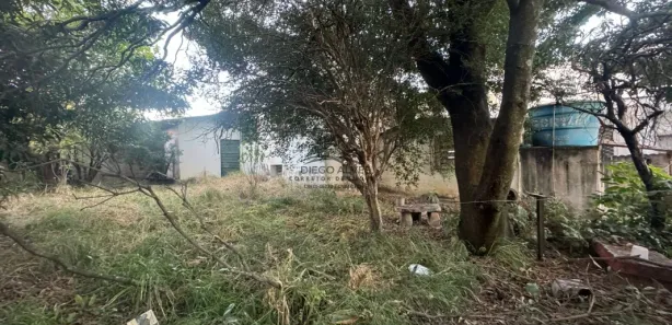 Loja / Salão / Ponto Comercial com 4 Quartos à venda, 300m² no Centro, Betim