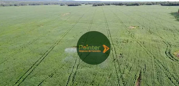 Fazenda / Sítio / Chácara à venda, 7000000m² no Parque Residencial Nova Fronteira, Gurupi
