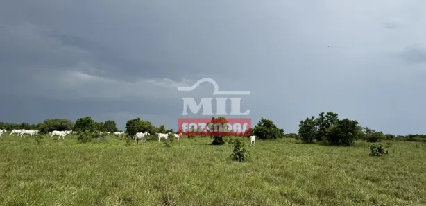 Fazenda / Sítio / Chácara à venda, 500m² no , Formoso do Araguaia