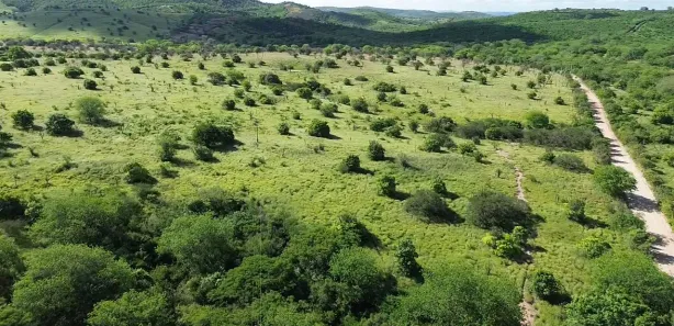 Fazenda / Sítio / Chácara à venda, 2180000m² no Área Rural de Gravatá, Gravatá