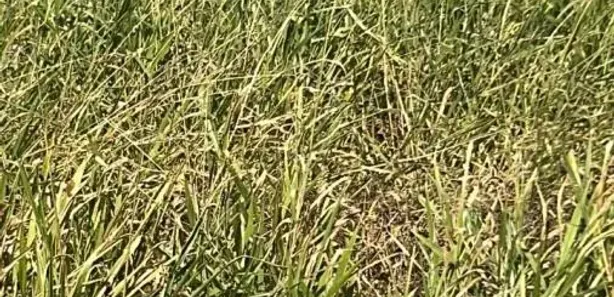 Fazenda / Sítio / Chácara à venda, 1016400m² no , Santa Rita do Tocantins