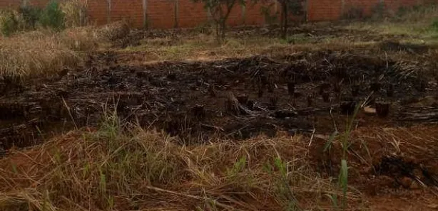 Terreno / Lote / Condomínio à venda, 360m² no , Silvânia
