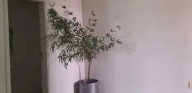 Prédio Inteiro à venda, 26m² no Centro, Bauru