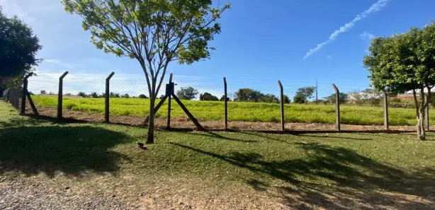 Terreno / Lote / Condomínio à venda, 5534m² no Centro, Vera Cruz