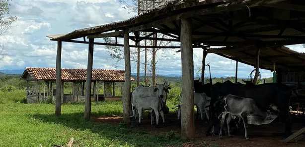 Fazenda / Sítio / Chácara à venda no , Guaraí