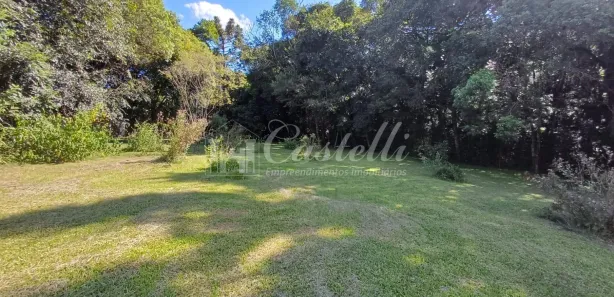 Fazenda / Sítio / Chácara à venda, 5400m² no Piriquitos, Ponta Grossa