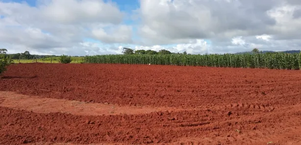 Fazenda / Sítio / Chácara à venda, 2000m² no Área Rural, Goianira