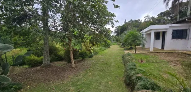 Fazenda / Sítio / Chácara com 4 Quartos para alugar, 200m² no Chácaras Ceres, Suzano