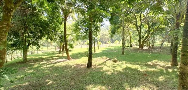 Fazenda / Sítio / Chácara com 2 Quartos à venda, 22000m² no Nossa Senhora do Amparo, Barra Mansa