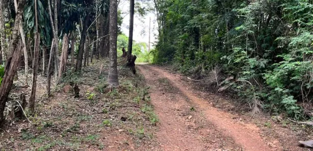 Fazenda / Sítio / Chácara com 5 Quartos à venda, 4718m² no Vale do Sol, São Joaquim de Bicas