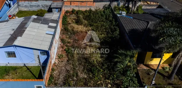 Terreno / Lote / Condomínio à venda, 300m² no Neves, Ponta Grossa