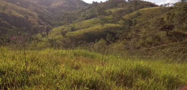 Fazenda / Sítio / Chácara com 2 Quartos à venda, 968000m² no , Padre Bernardo