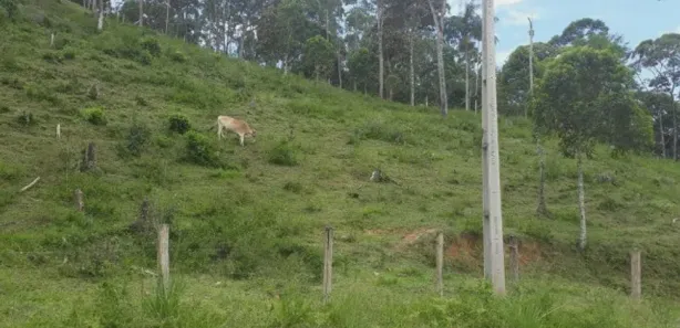 Terreno / Lote / Condomínio à venda, 1900m² no Vargem Grande, Águas Mornas