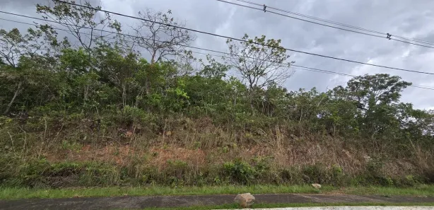 Terreno / Lote / Condomínio à venda, 3500m² no Setor Habitacional Tororó, Brasília