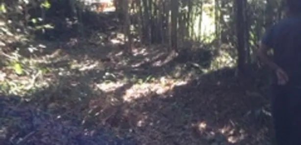 Terreno / Lote / Condomínio à venda, 1632m² no Quitandinha, Petrópolis