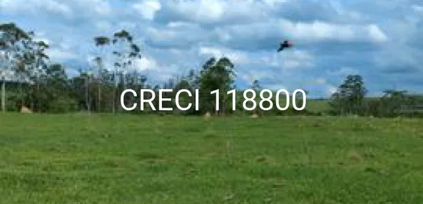 Fazenda / Sítio / Chácara com 1 Quarto à venda, 556600m² no Centro, Laranjal Paulista