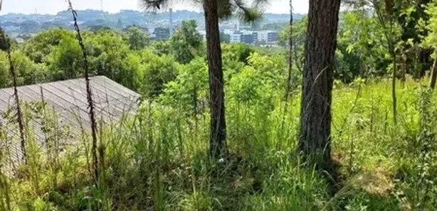 Terreno / Lote / Condomínio com 1 Quarto à venda, 2414m² no , Balsa Nova