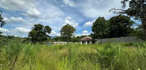 Fazenda / Sítio / Chácara com 3 Quartos à venda, 8700m² no Campo Grande, Rio de Janeiro