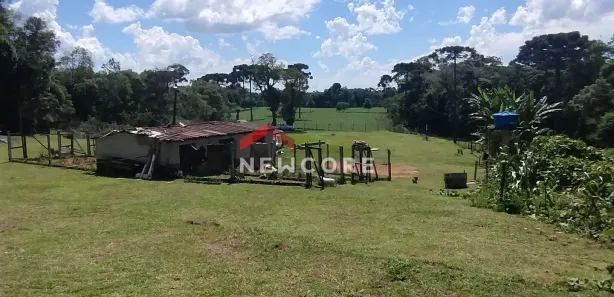 Fazenda / Sítio / Chácara com 2 Quartos à venda, 120m² no Campestre da Faxina, São José dos Pinhais