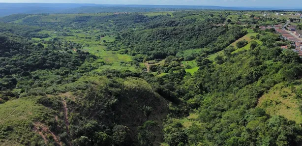 Fazenda / Sítio / Chácara com 4 Quartos à venda, 60000m² no , Bananeiras