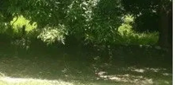 Fazenda / Sítio / Chácara com 3 Quartos à venda, 200m² no , Paranã