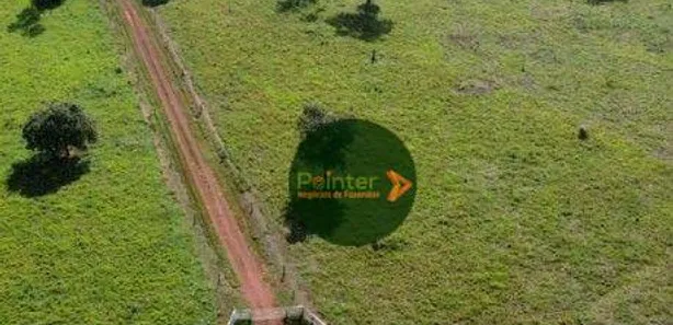 Fazenda / Sítio / Chácara à venda, 10009120m² no Vila Oeste, Paraíso do Tocantins