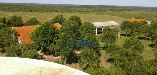 Fazenda / Sítio / Chácara com 1 Quarto à venda, 15070000m² no , Pedro Afonso