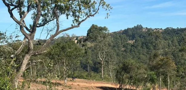 Terreno / Lote / Condomínio à venda, 1000m² no Saboó, São Roque