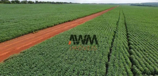 Fazenda / Sítio / Chácara à venda, 7066400m² no Centro, Paraíso do Tocantins