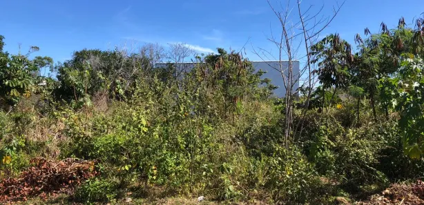 Terreno / Lote / Condomínio à venda, 360m² no Jaconé (Sampaio Correia), Saquarema