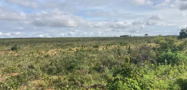 Fazenda / Sítio / Chácara à venda, 78512m² no Setor Central, Porto Alegre do Tocantins