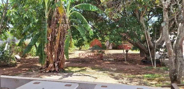 Fazenda / Sítio / Chácara com 1 Quarto à venda, 100m² no Jardim Continental, Taubaté