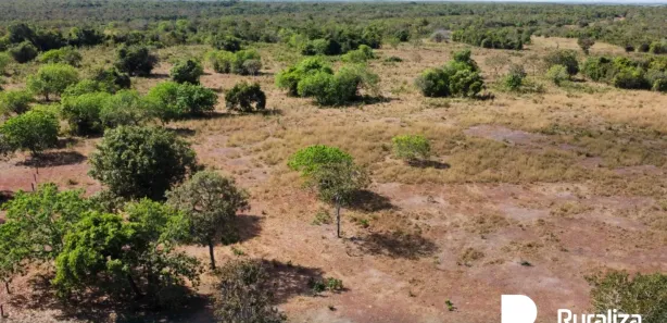 Fazenda / Sítio / Chácara à venda, 430m² no , Pium