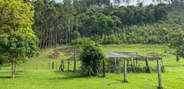 Fazenda / Sítio / Chácara com 7 Quartos à venda, 1000m² no , Alumínio