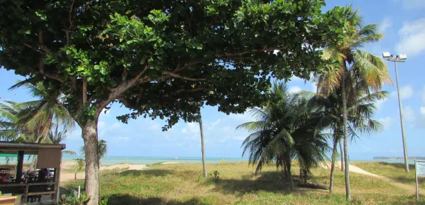 Apartamento com 1 Quarto para alugar, 45m² no Tambaú, João Pessoa