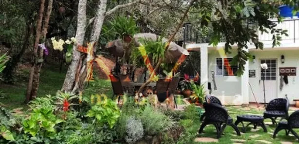 Fazenda / Sítio / Chácara com 4 Quartos à venda, 16290m² no Parque Rio Branco, Valparaíso de Goiás