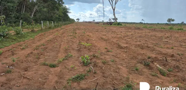 Fazenda / Sítio / Chácara à venda, 528m² no , Lagoa da Confusão