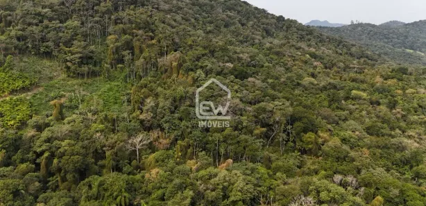 Fazenda / Sítio / Chácara com 1 Quarto à venda, 32132m² no Massaranduba-Baixo, Massaranduba