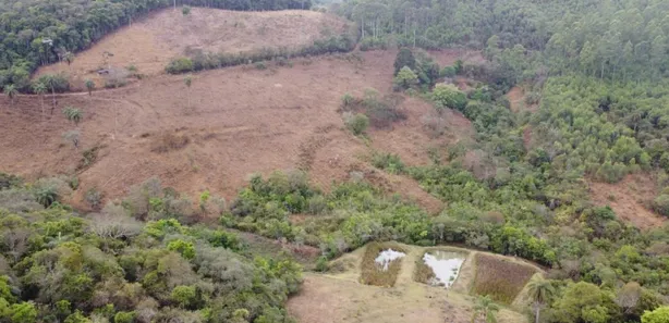 Terreno / Lote / Condomínio à venda, 20000m² no , Caeté