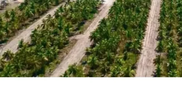 Terreno / Lote / Condomínio à venda, 180m² no Centro, São Miguel dos Campos