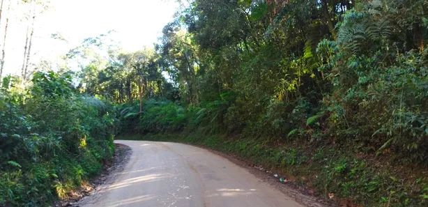 Fazenda / Sítio / Chácara com 1 Quarto à venda, 20000m² no , Campo Largo