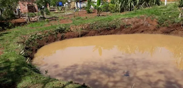Fazenda / Sítio / Chácara com 1 Quarto à venda, 2000m² no Zona Rural, Ibiporã