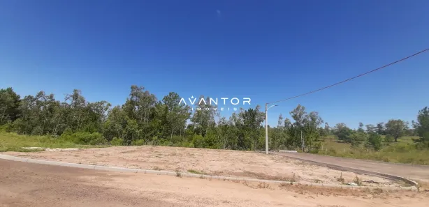 Terreno / Lote / Condomínio à venda, 453m² no Tomazetti, Santa Maria