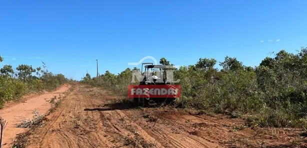Fazenda / Sítio / Chácara à venda, 13000m² no , Ponte Alta do Tocantins