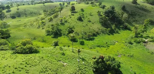 Fazenda / Sítio / Chácara à venda, 360000m² no , Sairé