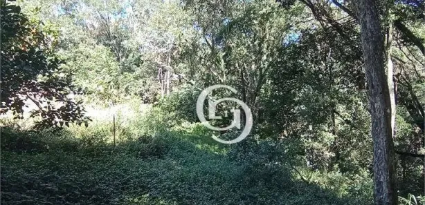 Fazenda / Sítio / Chácara com 2 Quartos à venda, 3000m² no São Salvador, Cascavel