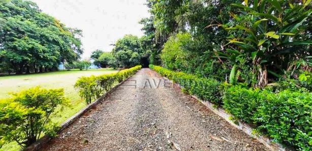 Fazenda / Sítio / Chácara com 3 Quartos à venda, 140m² no Recanto dos Pinheiros, Cambé