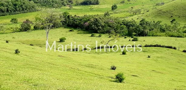 Fazenda / Sítio / Chácara com 4 Quartos à venda, 1113200m² no Centro, Cachoeiras de Macacu