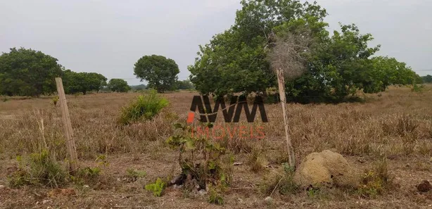 Fazenda / Sítio / Chácara à venda, 6872800m² no Centro, Cristalândia